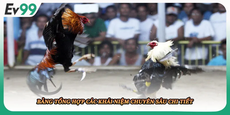 Bảng tổng hợp các khái niệm chuyên sâu chi tiết